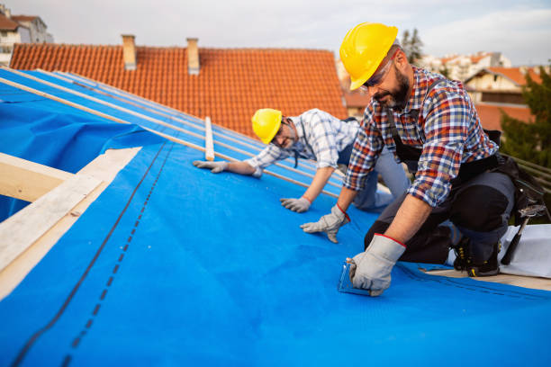 Best Chimney Flashing Repair  in Ordway, CO
